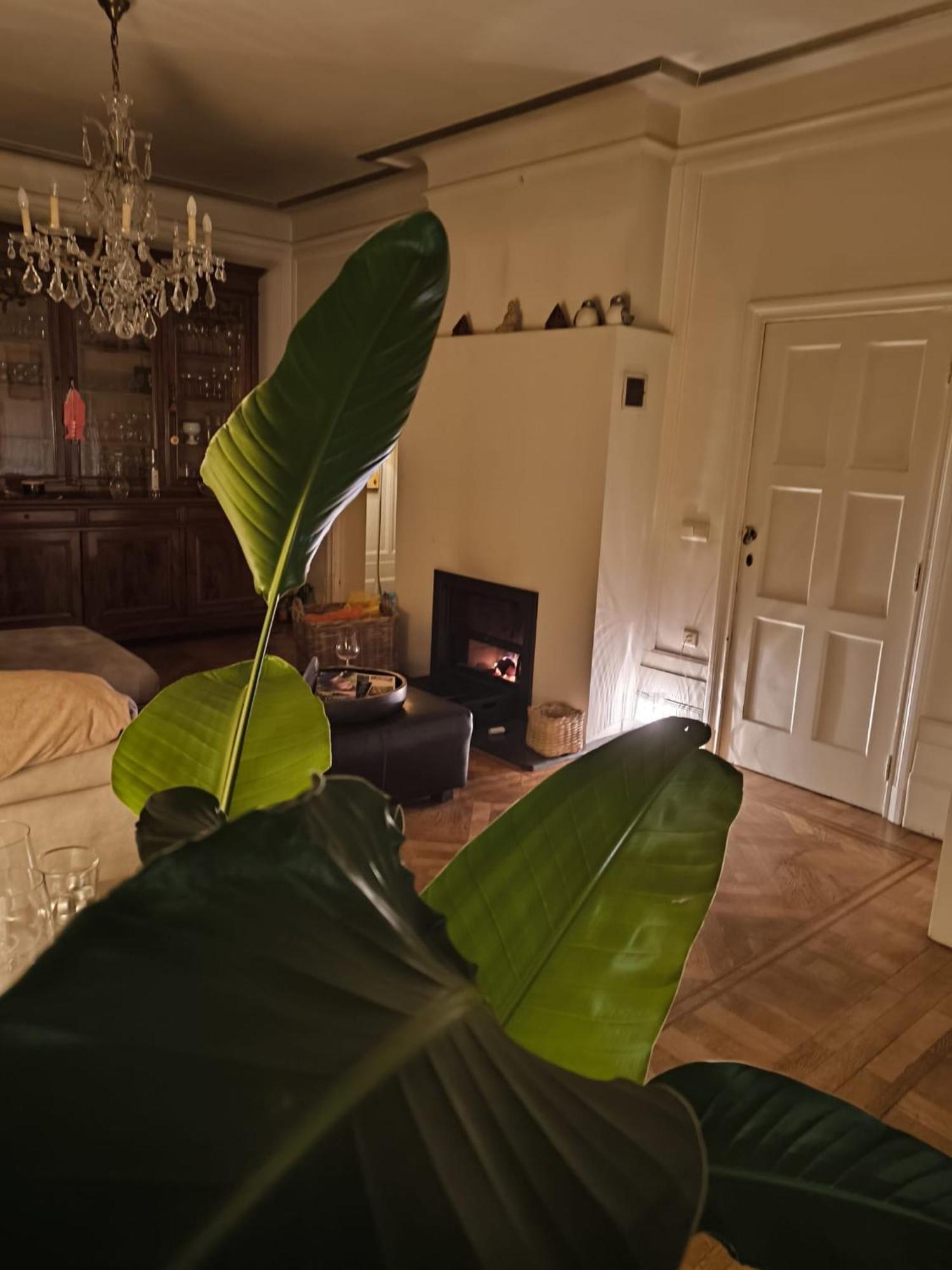 Ferienwohnung Le Castel Mosan Namur  Exterior foto